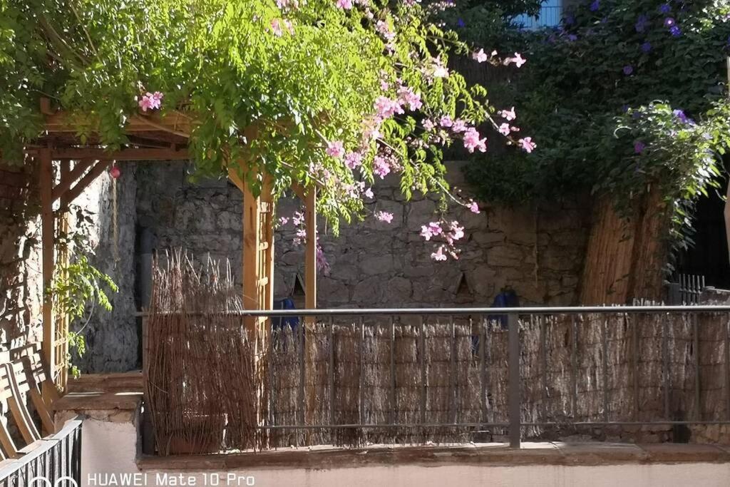 Appartement Avec Jardin Privatif Centre Ville Hyères Екстериор снимка